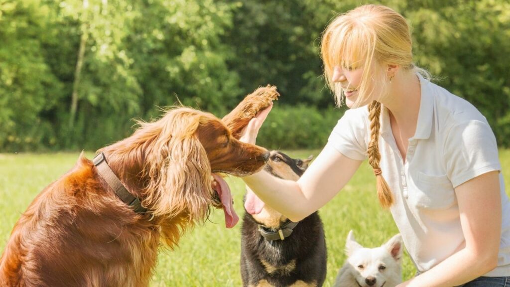 pet ownership dogs Sydney Wentworth point