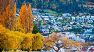 New Zealand property values