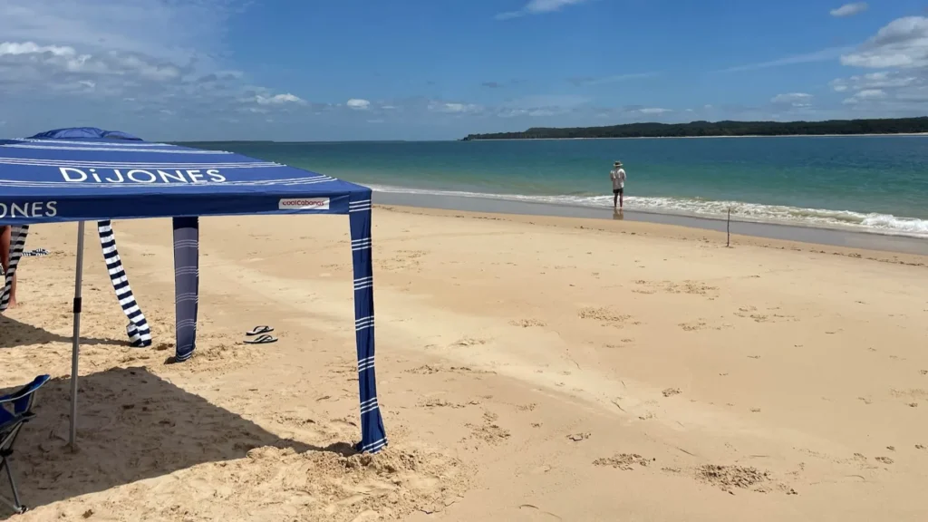 Sorry! Image not available at this time