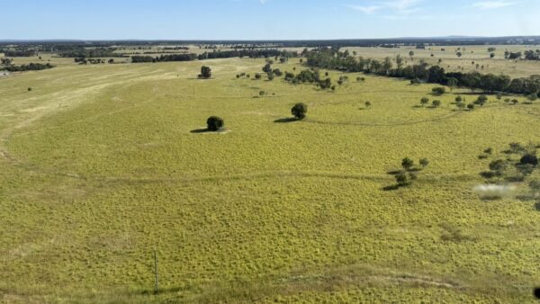 $17.5 million grazing deal shows buyers getting choosier