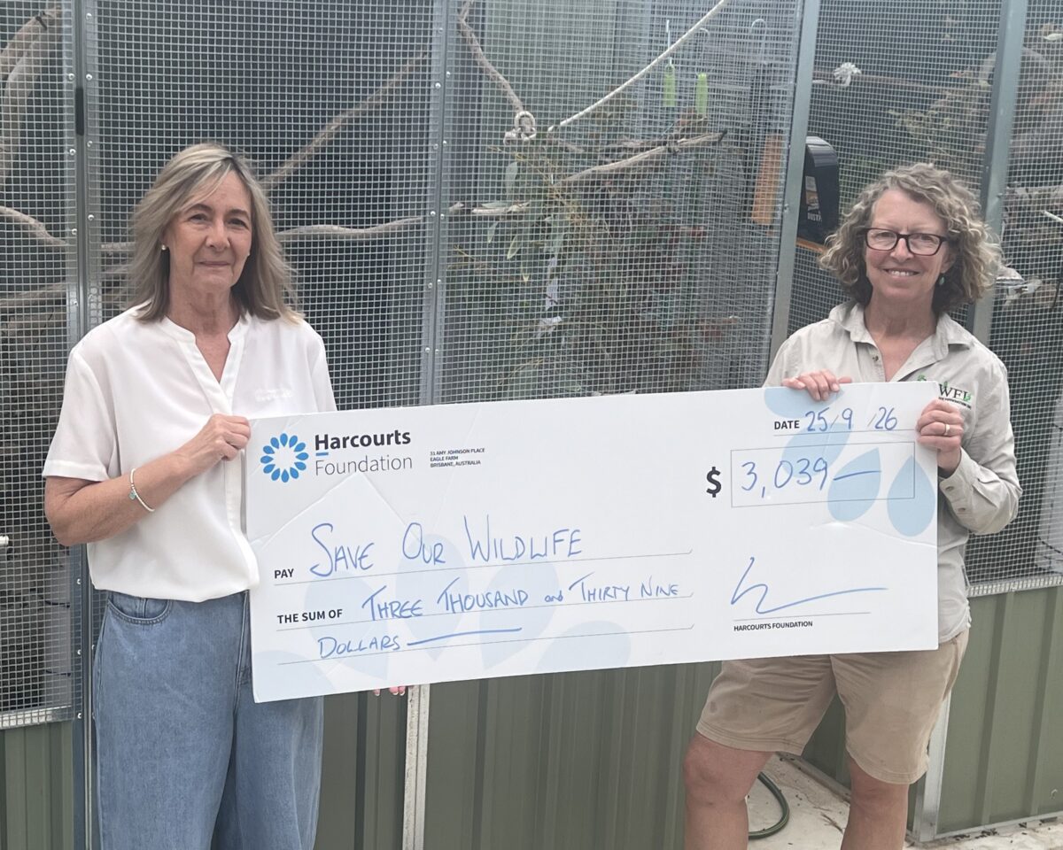 Harcourts network backs employment, wildlife and child safety causes