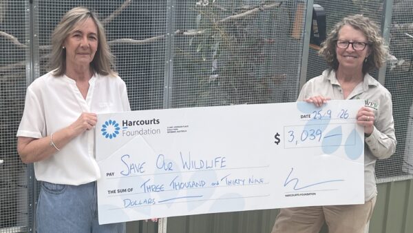Harcourts network backs employment, wildlife and child safety causes